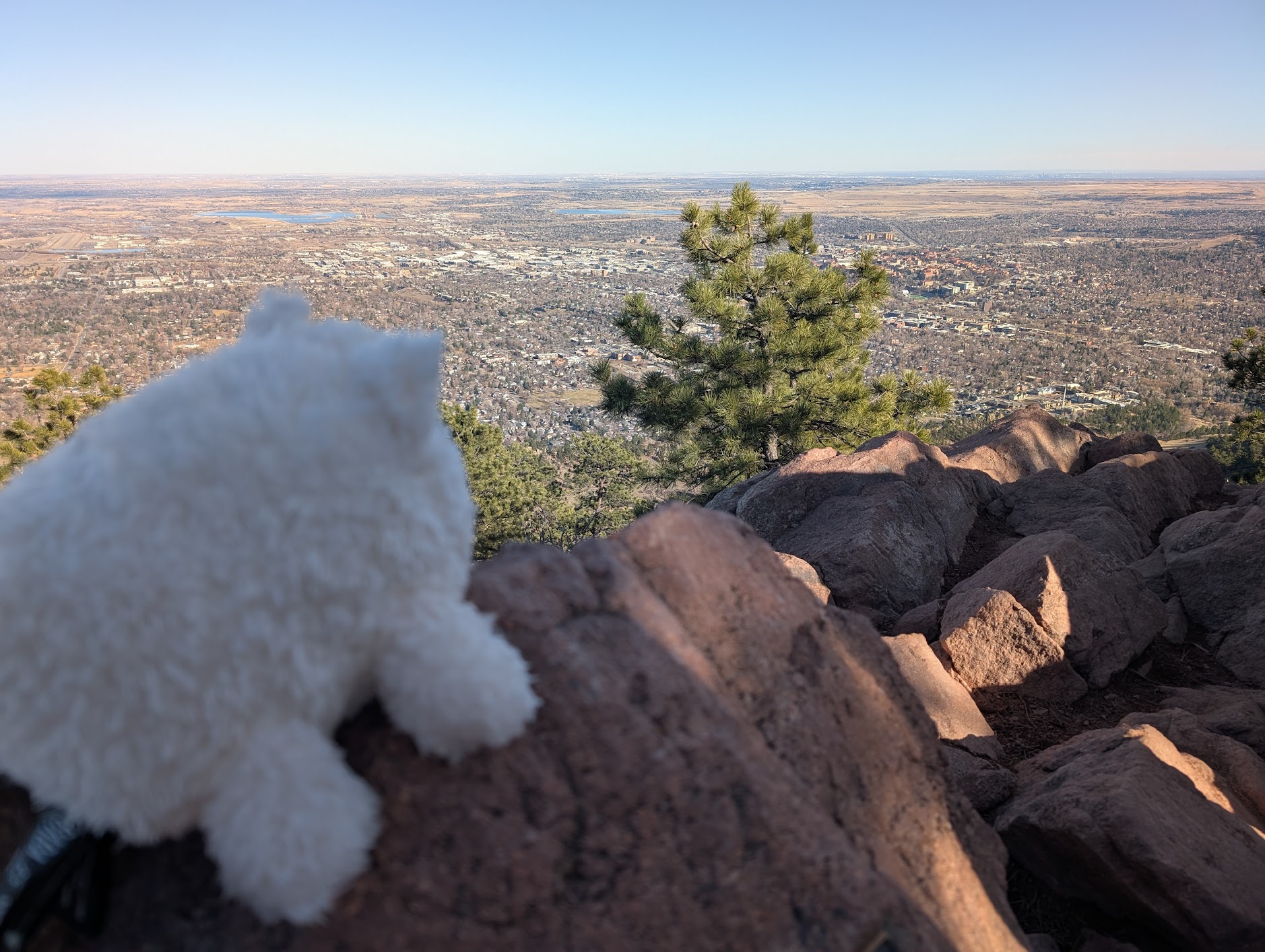 baba on an adventure